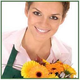 Your connection to the finest flowers, plants and gifts. Unsurpassed service with 100% satisfaction guarantee. Orders taken 24 hours a day: 1-800-748-2730