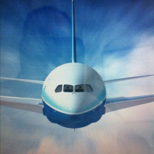 tommarsala's profile picture. TRAVEL THE WORLD - TRAVEL SMART