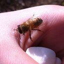 Robert Clapp - @RobertClapp - Twitter