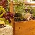 Urban Ag, Inc. (@urbanaginc) Twitter profile photo Urban Ag, Inc. (@urbanaginc) Twitter profile photo