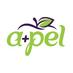A+PEL (@goapel) Twitter profile photo A+PEL (@goapel) Twitter profile photo