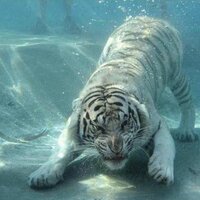 Humberto (@bertolm_82) 's Twitter Profile