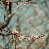 rasa (@alksnyte) 's Twitter Profile