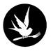 Swallow (@swallow_daily) Twitter profile photo Swallow (@swallow_daily) Twitter profile photo