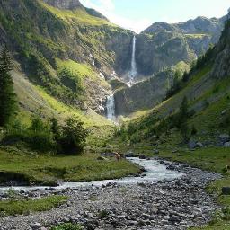 dodialpha's profile picture. #السعودية  
#غامد
#بلجرشي 
#السعودية