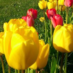 This page has been developed for the residents of Gorse Hill.  We hope that it will become a useful source of information and general interest