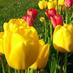 Gorse Hill Swindon (@gorsehillcomm) Twitter profile photo