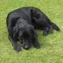 Peter Neely - @Pete_GDO4 - Twitter