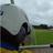 rodders154's profile image