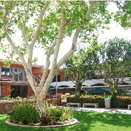 Delphi Academy Santa Monica
http://t.co/OWnsTaGKPD
