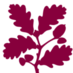 CherryburnNT (@cherryburnnt) Twitter profile photo CherryburnNT (@cherryburnnt) Twitter profile photo