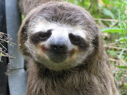 hey go follow @louisvibe instead ily all