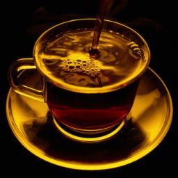 stopeviltrump's profile picture. On a crusade to preserve democracy in the United States.