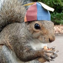 Snow/Mary Margaret's squirrel ~ You can find me in Mary Margaret's vent or Regina's cleavage.
