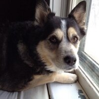 KathyFenton (@kathyfenton) 's Twitter Profile