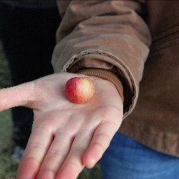 bobrexhere's profile picture. Advertising Manager for Move Press, peloton and switchback magazines.