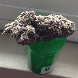 Gan Jah 大麻 マリファナバターの作り方 用意するものは大麻 マリファナ ハーベストリーフ ファンリーフでも良いです 無塩バター きれいな水 水道水は勧めません 氷 鍋 1 鍋の中に材料を全部入れます2 火をいれて沸騰寸前で弱火にします Gan Jah 大麻 マリファナバターの作り方 用意するものは大麻 マリファナ ハーベストリーフ ファンリーフでも良いです 無塩バター きれいな水 水道水は勧めません 氷 鍋 1 鍋の中に材料を全部入れます2 火をいれて沸騰寸前で弱火にします