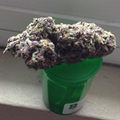 Gan Jah En Twitter 大麻 マリファナ栽培について インディカ種は開花期に栄養を与えすぎるとすぐに肥料やけをおこします 肥料やけを確認する方法 成熟前にバッズの先端の毛が白色から赤色にかわります その他たくさんの症状があります 対処方法は2週間に一回水 Gan Jah En Twitter 大麻 マリファナ栽培について インディカ種は開花期に栄養を与えすぎるとすぐに肥料やけをおこします 肥料やけを確認する方法 成熟前にバッズの先端の毛が白色から赤色にかわります その他たくさんの症状があります 対処方法は2週間に一回水