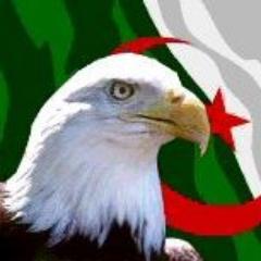 AbdoZadina's profile picture. 