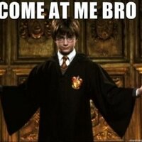 10 Best Harry Potter Memes And Tweets