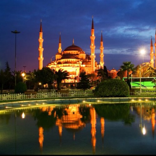 Dutch Reverted Muslim, 35 years old. Seeking for knowledge, news, like-minded people.