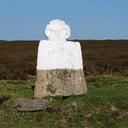 Linda J - @LindaJuneDyson - Twitter