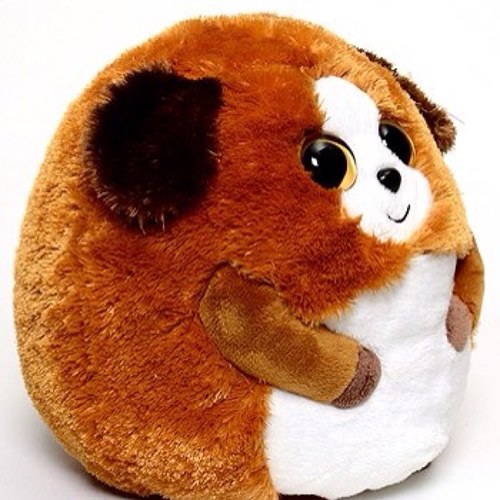Harry Hamster (@spotharry) | Twitter