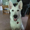 Tom Welsh - @WBArnie - Twitter