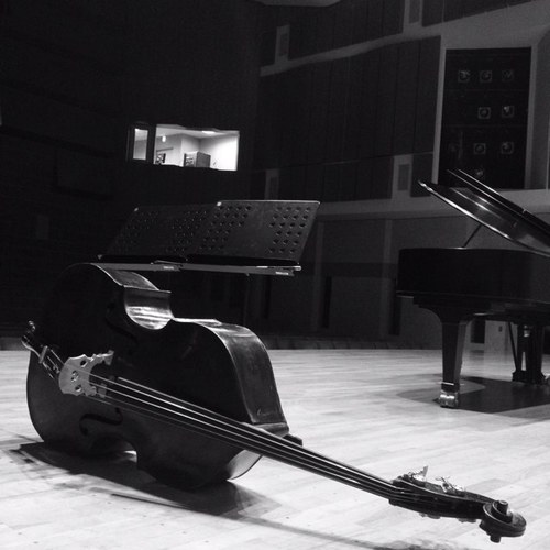 bassistoh's profile picture. 山梨県甲府市出身　 コントラバスとエレキベースを弾きこなす音楽家。 JAZZ,POPS,BRAZIL音楽を中心に、レコーディングや、LIVEにて活動中。 2017年より活動拠点を山梨に移す。 2022年秋、自己のバンドWATER WATER CAMELが６年ぶりに活動再開