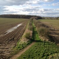 Drem-Gullane Path Campaign (@dgcorepath) 's Twitter Profile Photo Drem-Gullane Path Campaign (@dgcorepath) 's Twitter Profile Photo