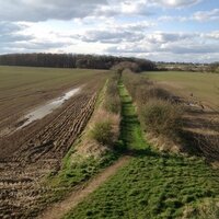 Drem-Gullane Path Campaign(@dgcorepath) 's Twitter Profile Photo