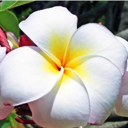 foofie14's profile picture. 