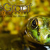 DeGraaf Nature Ctr. (@degraafnature) Twitter profile photo