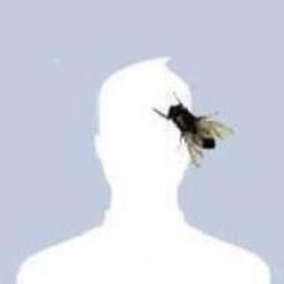 HairSyzi's profile picture. Shkodran Vendali