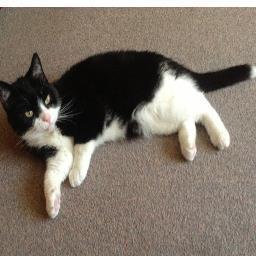 Eggbox24's profile picture. 