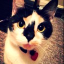 Ella Marie High - @shitellathinks - Twitter