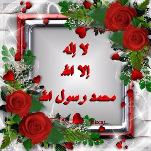 AmonaB111's profile picture. 