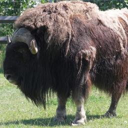 TJ_Degg's profile picture. Loves GReen Bay and Vegas BABY!