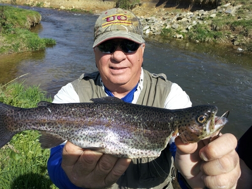 phillybobjohns's profile picture. 