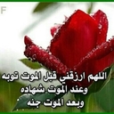 ورده (@1381Soste) Twitter