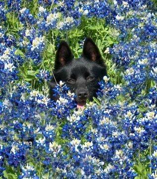 baileychamp's profile picture. 