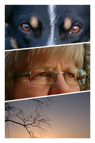 TochenaLibj's profile picture. Ansatt I kommune, Ergoterapeut.. Følger med på hund å hundesport,villmark, fiske, friluftsliv, politikk, helse,rehab.
-Nei til vindkraft i norsk natur!