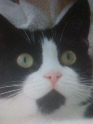 JonathanDunley's profile picture. 