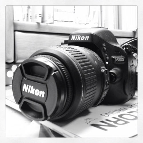 time_fa's profile picture. 大学院生やってます。 アクアリウム/水草/NA/一眼レフ/ORIX Buffaloes/自重トレーニング/ゲーム実況【趣味ブログ 2020年開設予定(?)】 気軽にフォローしてね