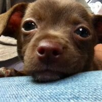 Mauricio Medina. (@maury04948) 's Twitter Profile