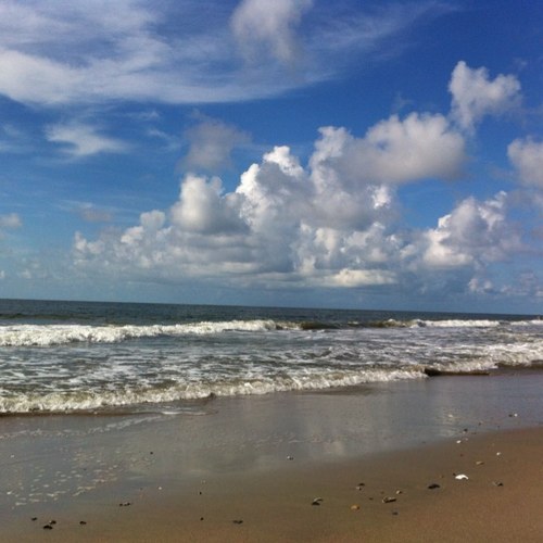 beachymom1's profile picture. 