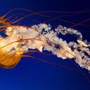 Marcos Lepe  Martine - @MAENOLAOU - Twitter