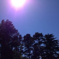 sonia chatain (@schatain) 's Twitter Profile Photo