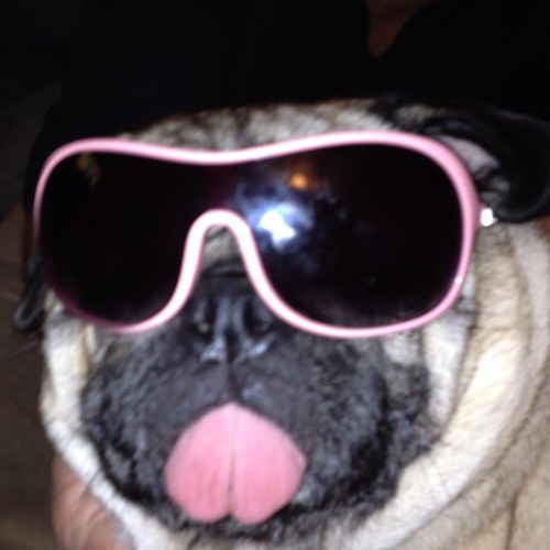 DavisonStephani's profile picture. 