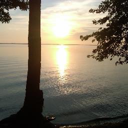 scottpotter6's profile picture. Born and raised a Hamiltonian. Father of 2. Lumber guru. Baseball fanatic :-).....my tweets are my own opinions and reflect no one else's. #LeafNation